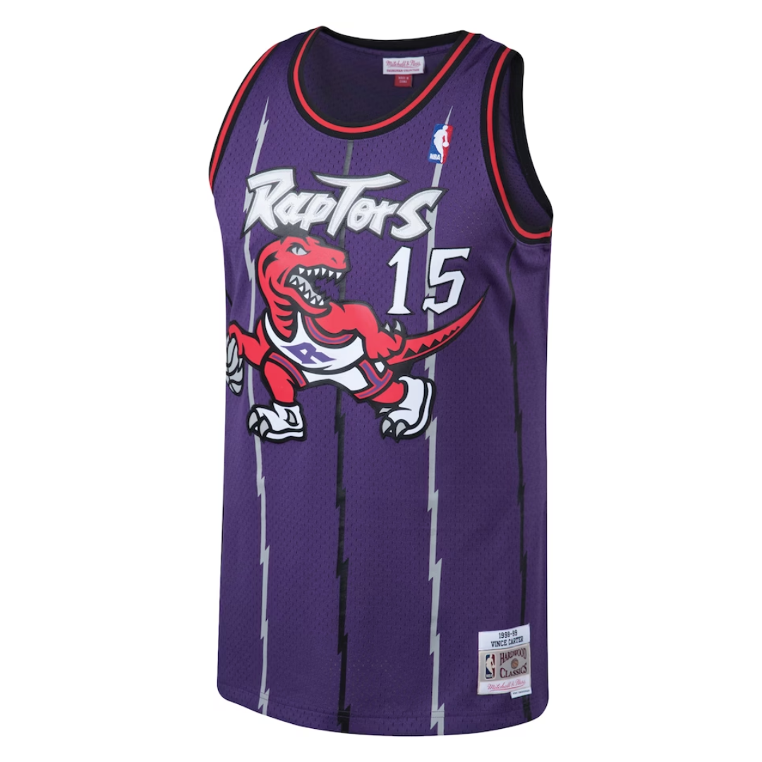 Vince Carter Toronto Raptors Jersey